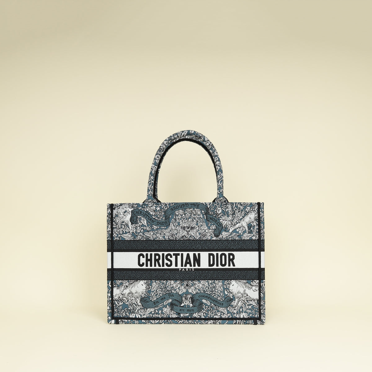 Christian Dior Tricolor 