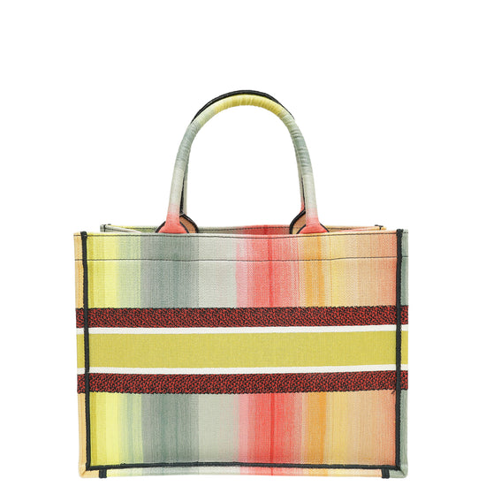 Christian Dior Multicolor Book Tote Medium Bag