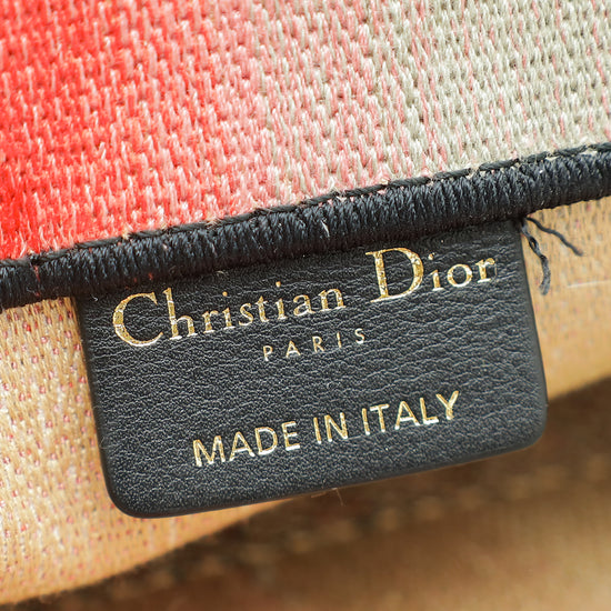 Christian Dior Multicolor Book Tote Medium Bag