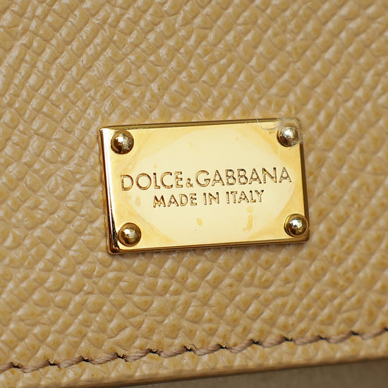 Dolce & Gabbana Tricolor Dauphine & Python Monica Medium Top Handle Bag