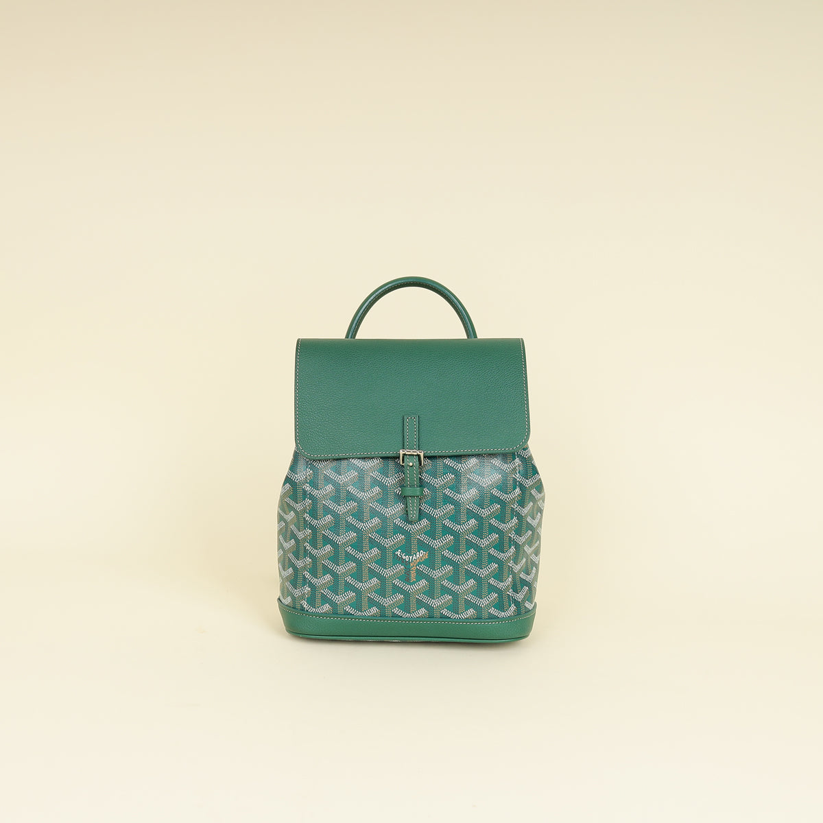 Goyard Green Goyardine Sac Alpin Mini Backpack Bag – THE CLOSET