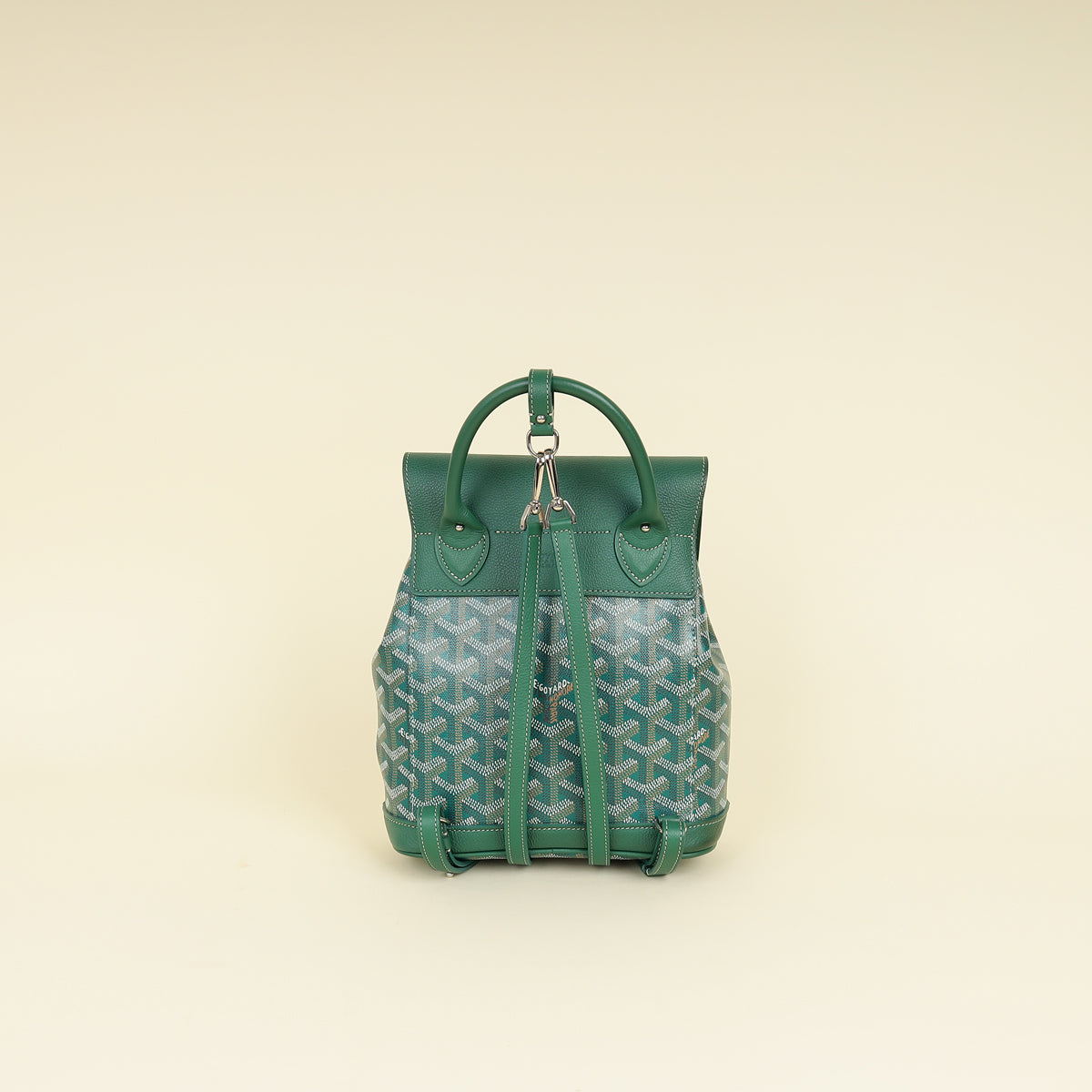 Goyard Green Goyardine Sac Alpin Mini Backpack Bag – THE CLOSET