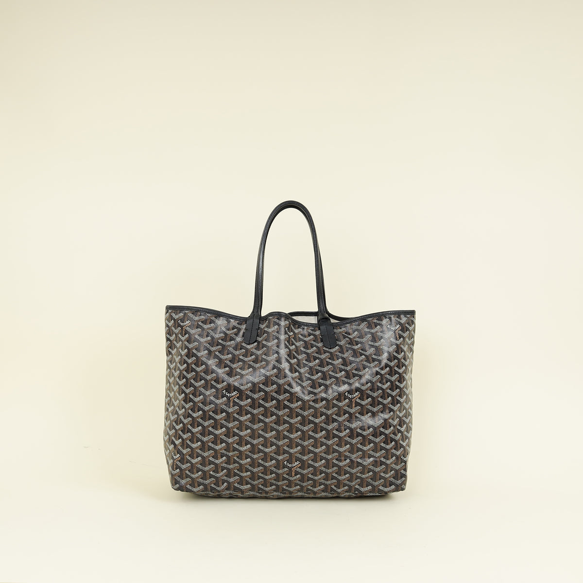 Goyard Black Goyardine Saint Louis PM Bag – THE CLOSET