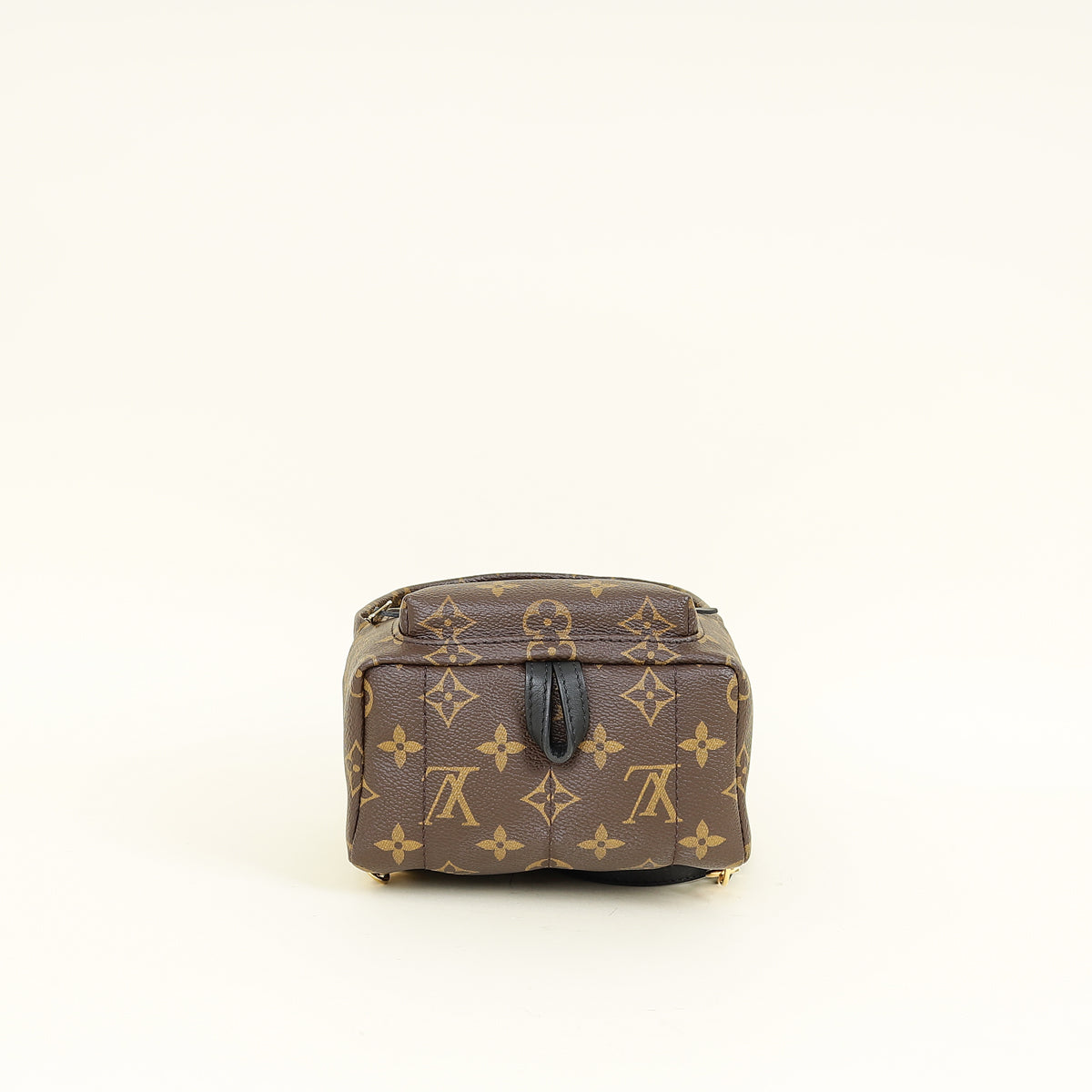 Louis Vuitton Palm Springs Monogram Canvas Mini Backpack