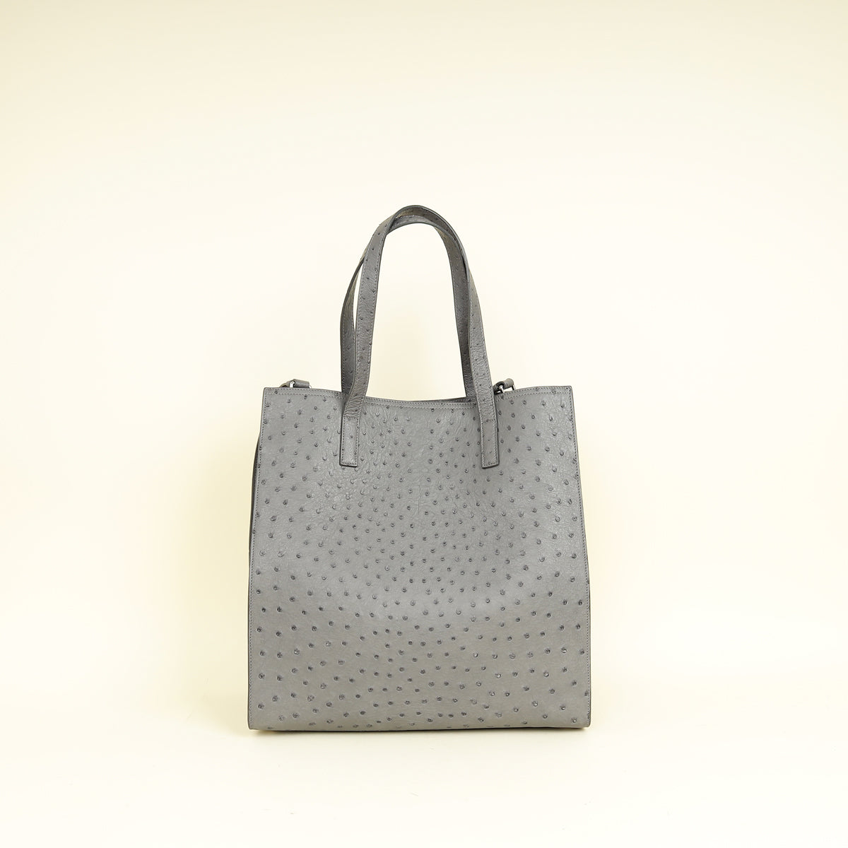 Prada Gray Ostrich Vertical Tote Bag – THE CLOSET Prada Multicolor Vertical Stripe Ostrich-Texture Tote main image 0