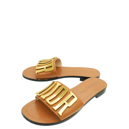 Christian Dior Brown Dio(r)evolution Slide Sandals 36
