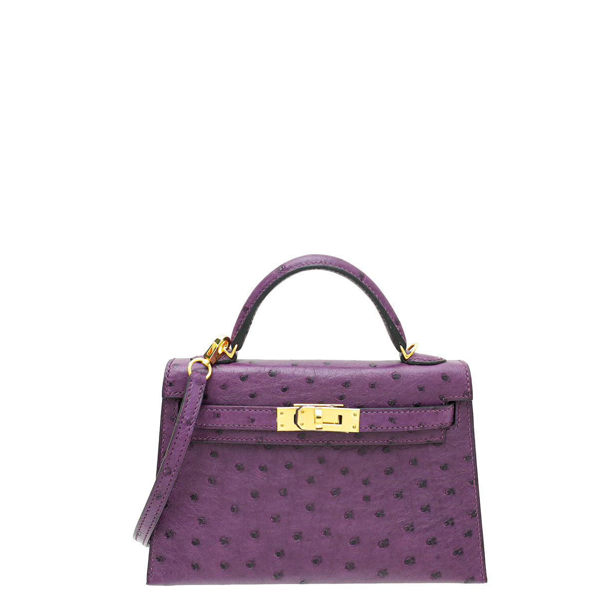 Hermes Violine Ostrich Sellier Mini Kelly Bag-Hermes-THE CLOSET
