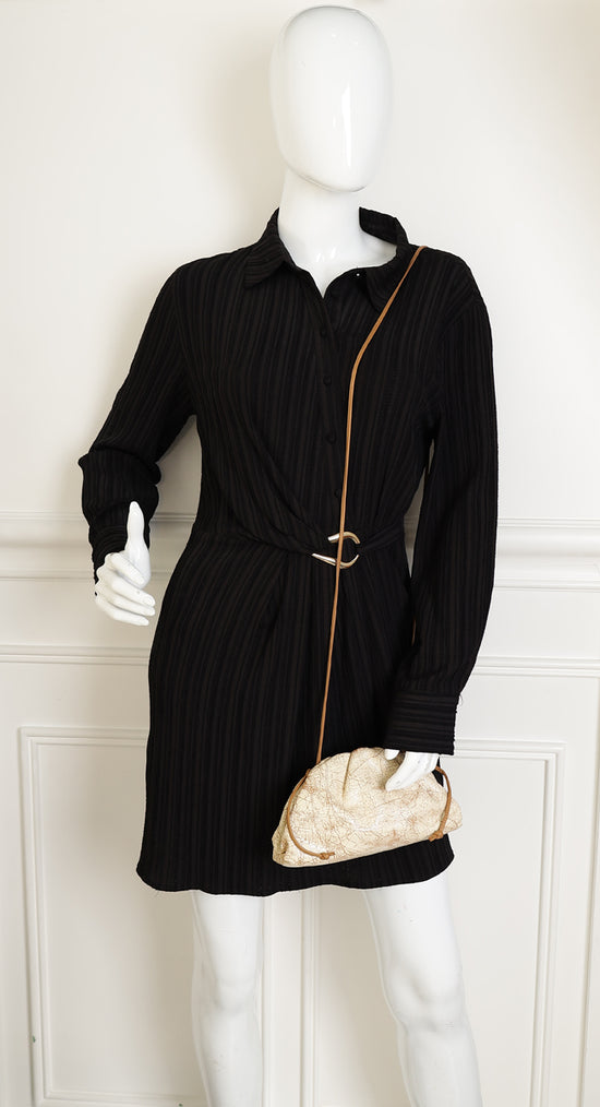 Bottega Veneta Zabaione Crackled The Mini Pouch