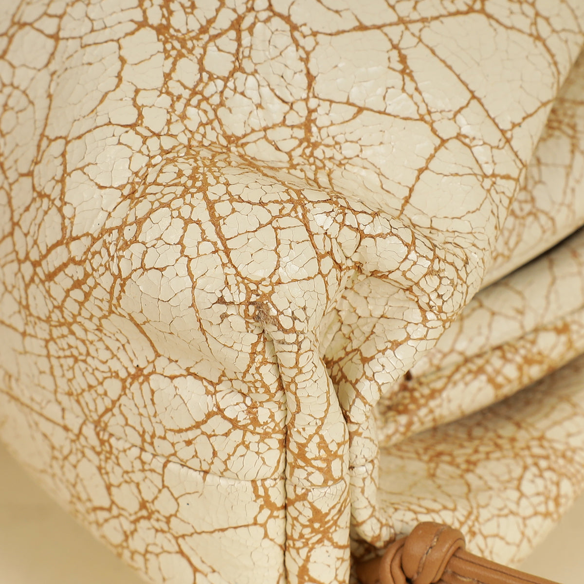 Bottega Veneta Zabaione Crackled The Mini Pouch