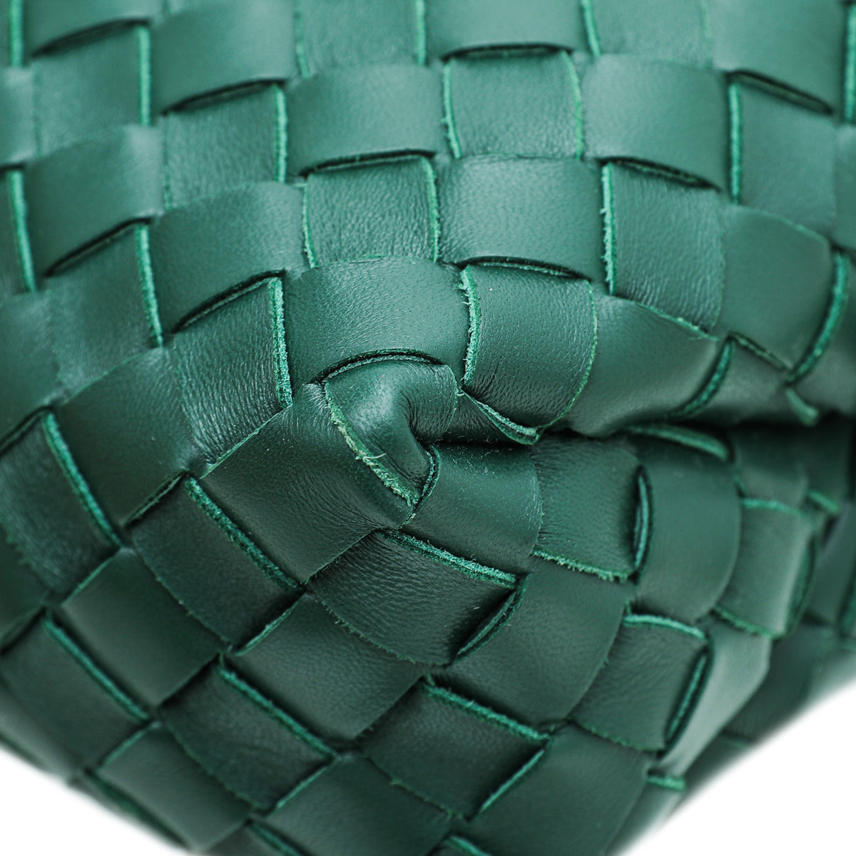 Bottega Veneta Raintree Green Loop Camera Medium Bag