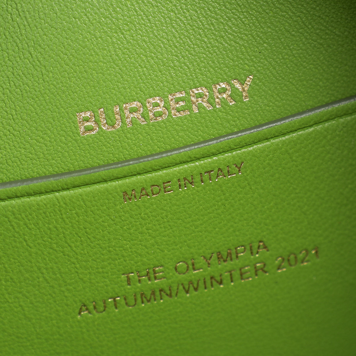 Burberry Green Olympia Mini Chain Zip Bag