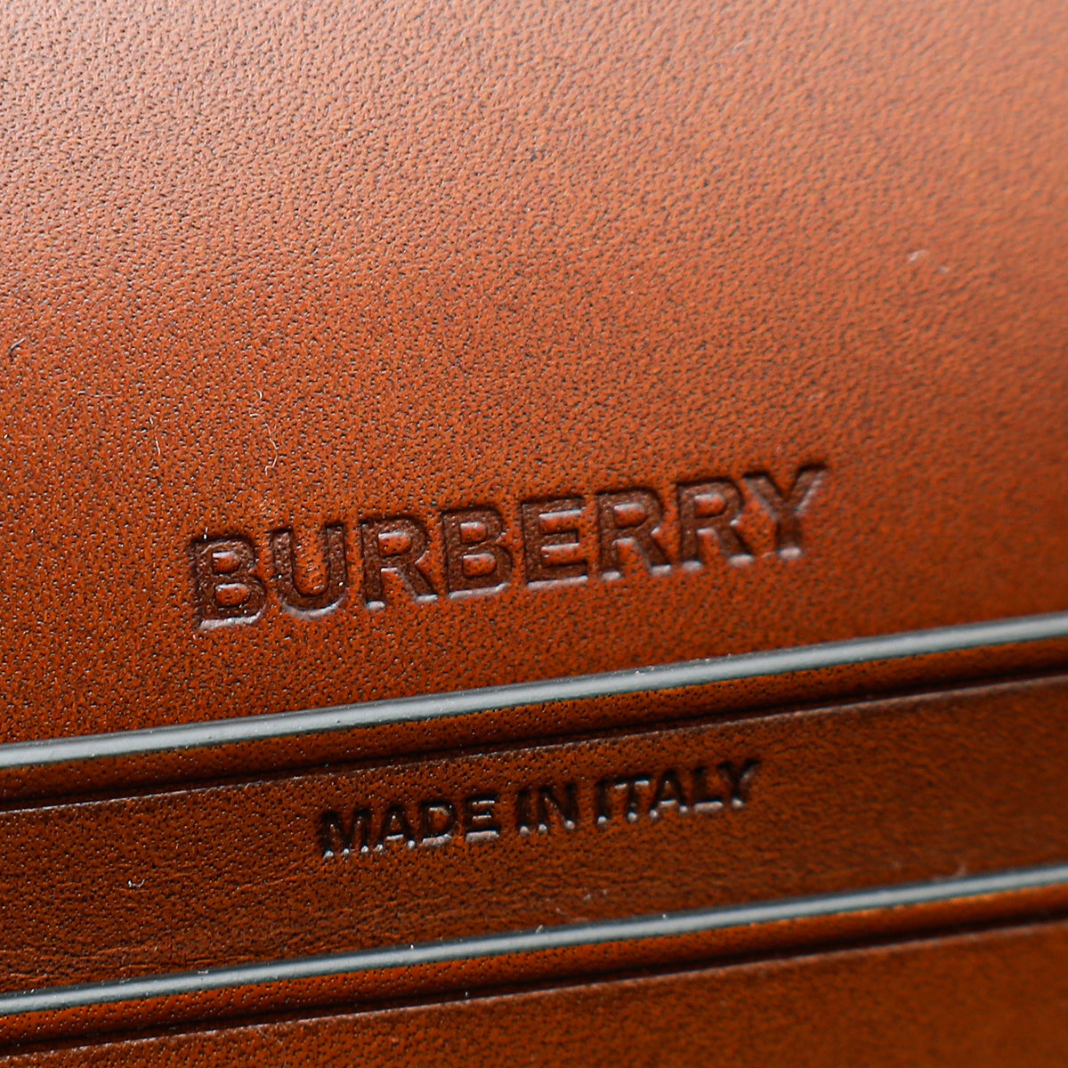 Burberry Briar Brown TB Embossed Small Olympia Bag