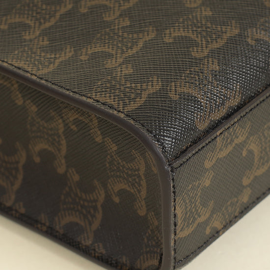 Celine Tricolor Triomphe Mini Vertical Cabas Bag