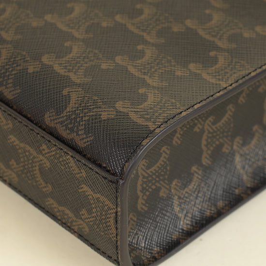 Celine Tricolor Triomphe Mini Vertical Cabas Bag