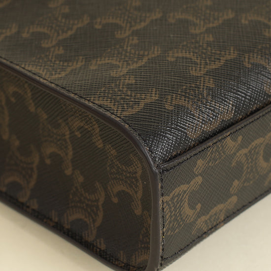 Celine Tricolor Triomphe Mini Vertical Cabas Bag