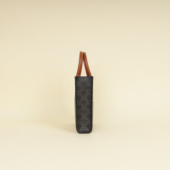 Celine Tricolor Triomphe Mini Vertical Cabas Bag