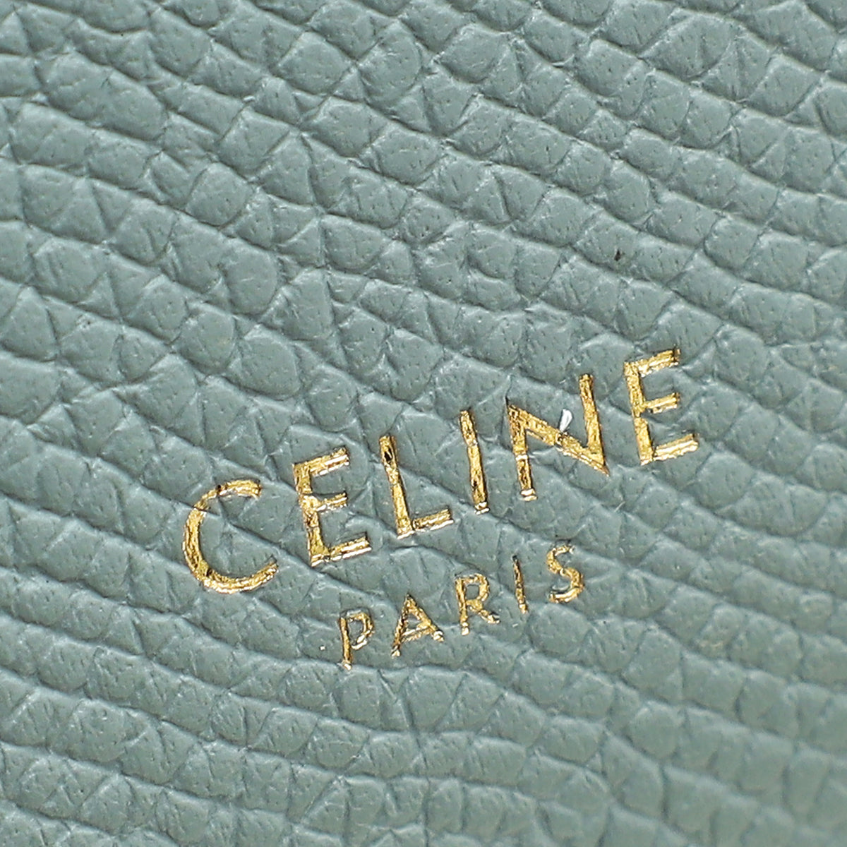 Celine Storm Pico Belt Bag