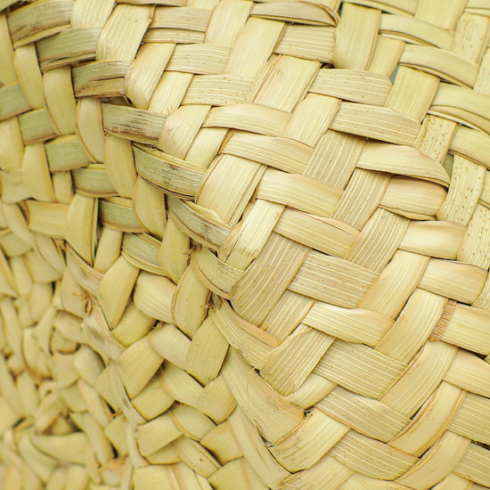 Celine Bicolor Classic Panier Palm Leaves Medium Basket Bag