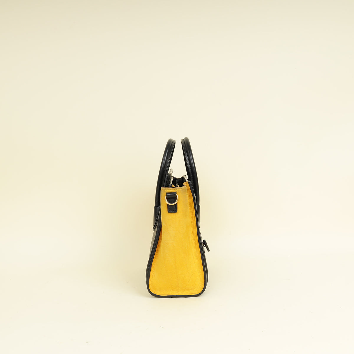 Celine Tricolor Nano Luggage Bag