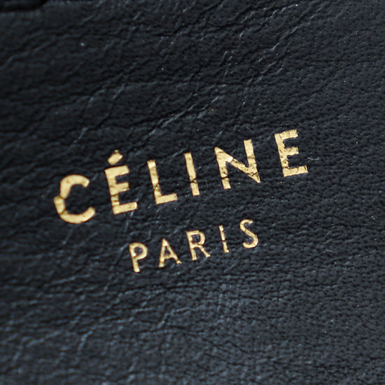 Celine Bicolor Python/Calf Trapeze Bag