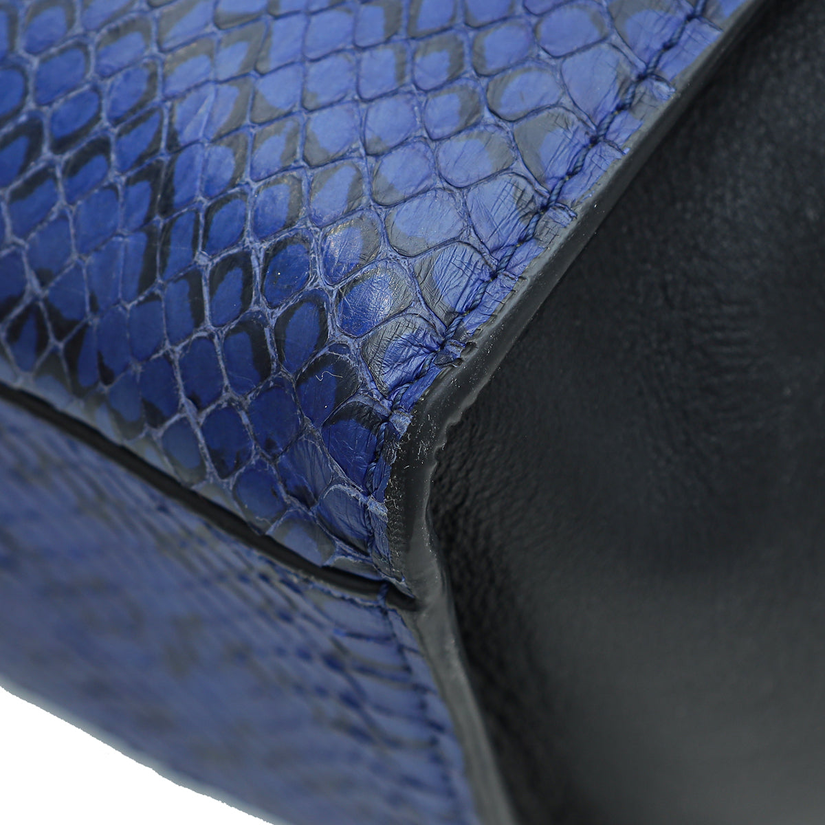 Celine Bicolor Python/Calf Trapeze Bag – The Closet