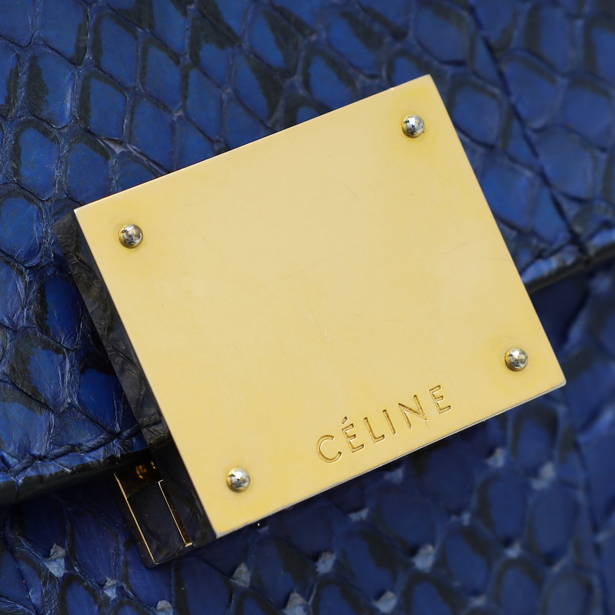 Celine Bicolor Python/Calf Trapeze Bag – THE CLOSET