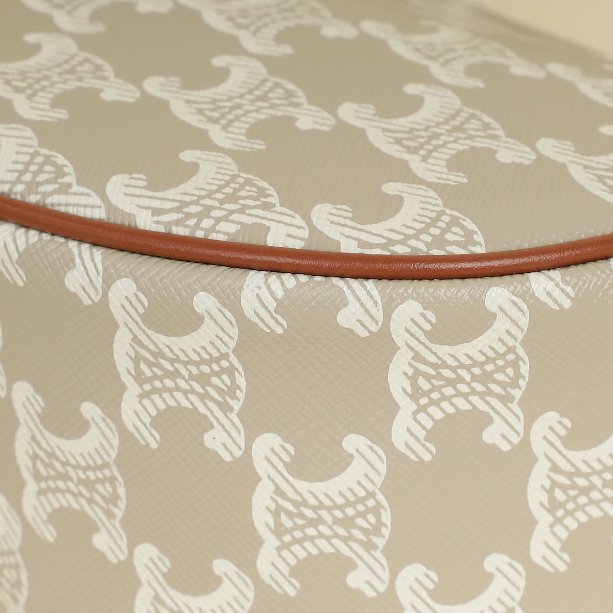 Celine Bicolor Ava Triomphe Hobo Medium Bag-Celine-THE CLOSET