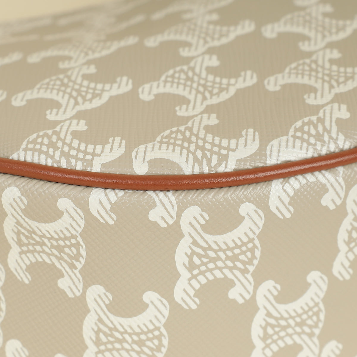 Celine Bicolor Ava Triomphe Hobo Medium Bag-Celine-THE CLOSET