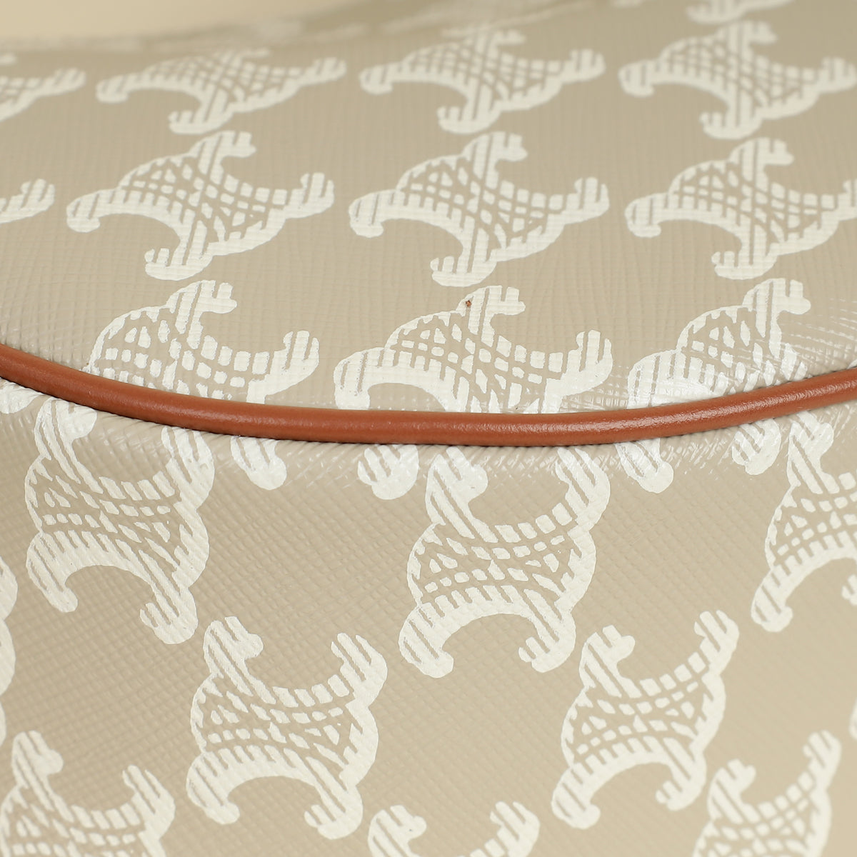 Celine Bicolor Ava Triomphe Hobo Medium Bag-Celine-THE CLOSET