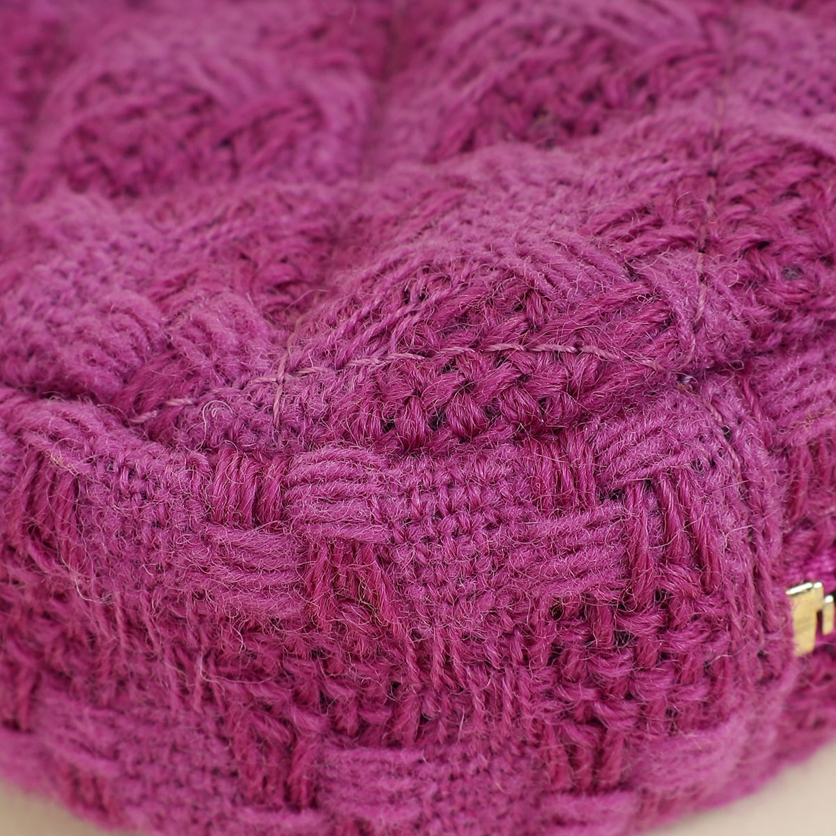 Chanel Fuchsia Mini Waist & Coin Purse Bag