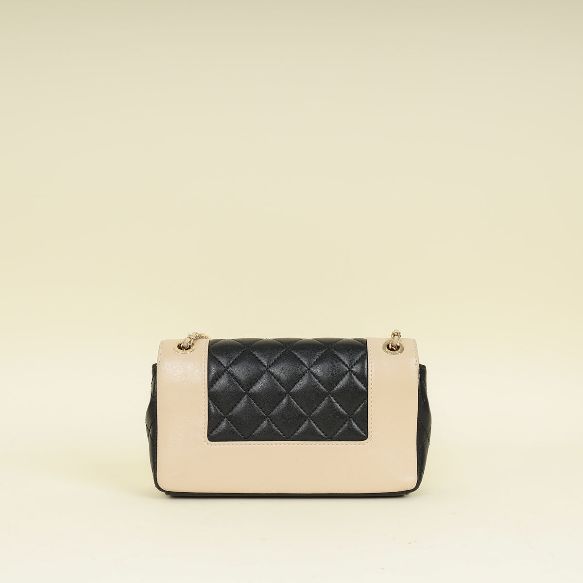 Chanel Bicolor CC Mademoiselle Vintage Small Flap Bag