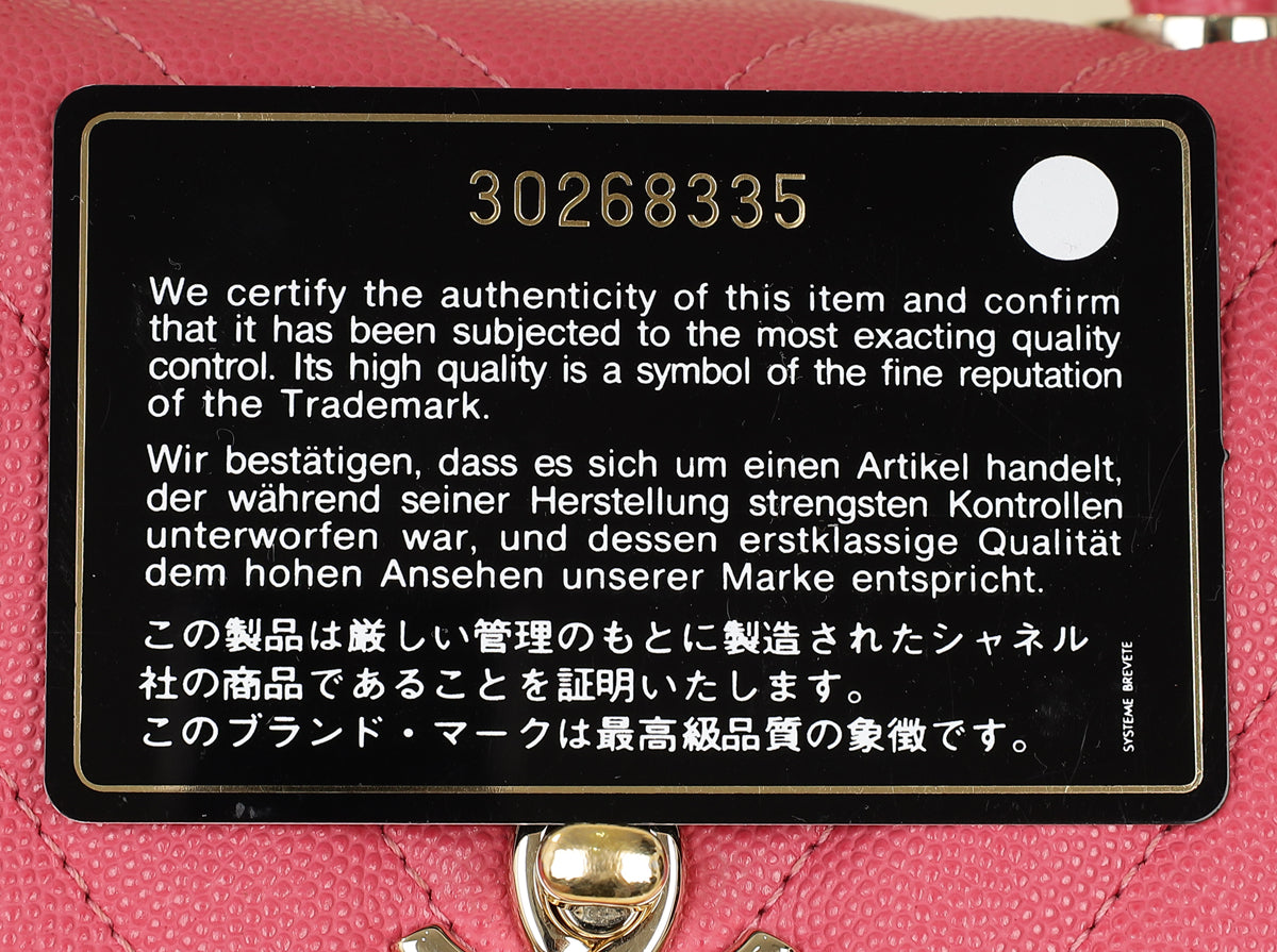 Chanel Pink Coco Handle Small Bag-Chanel-THE CLOSET