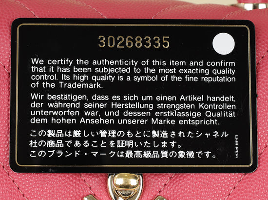 Chanel Pink Coco Handle Small Bag-Chanel-THE CLOSET