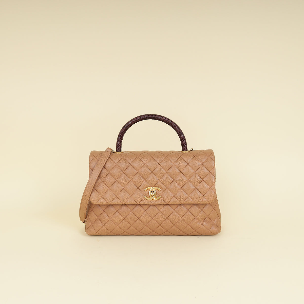 Chanel Bicolor CC Coco Handle Lizard Touch Bag-Chanel-THE CLOSET