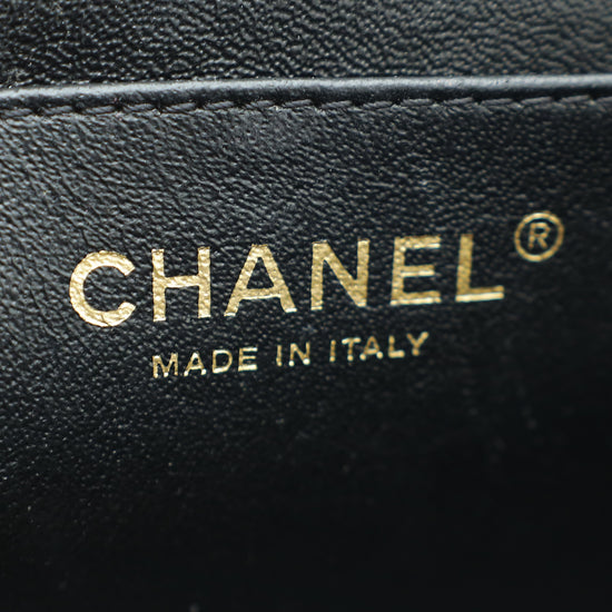 Chanel Bicolor CC Diana Flap Medium Bag