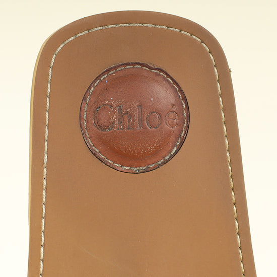 Chloe Bicolor Woody Flat Mule 40