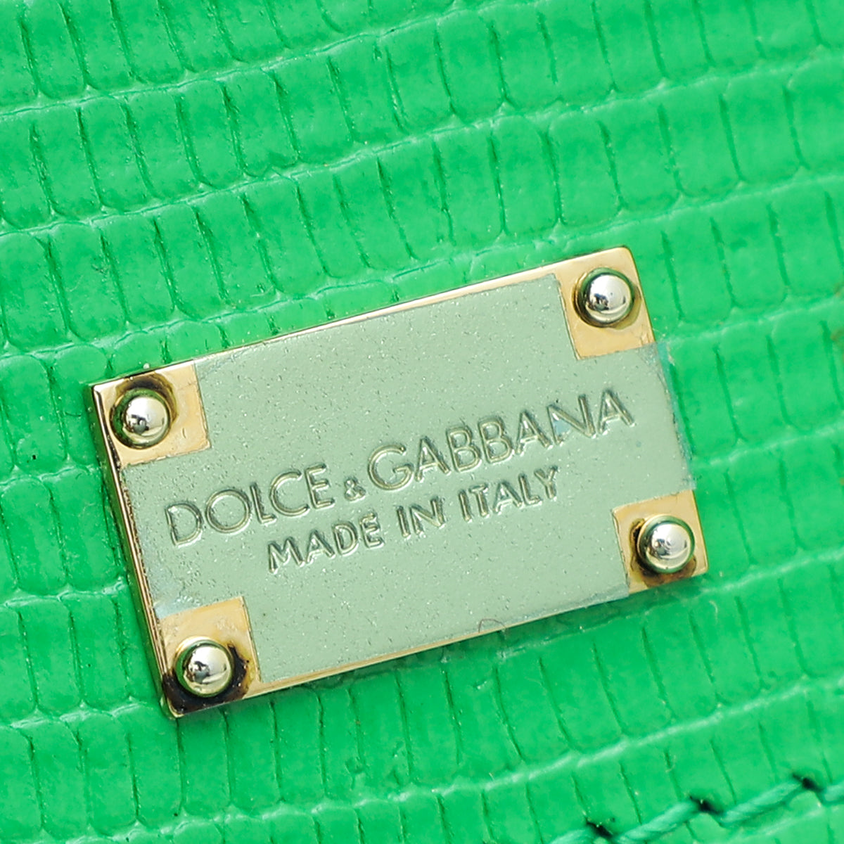 Dolce & Gabbana Green Iguana Print Sicily Medium Bag