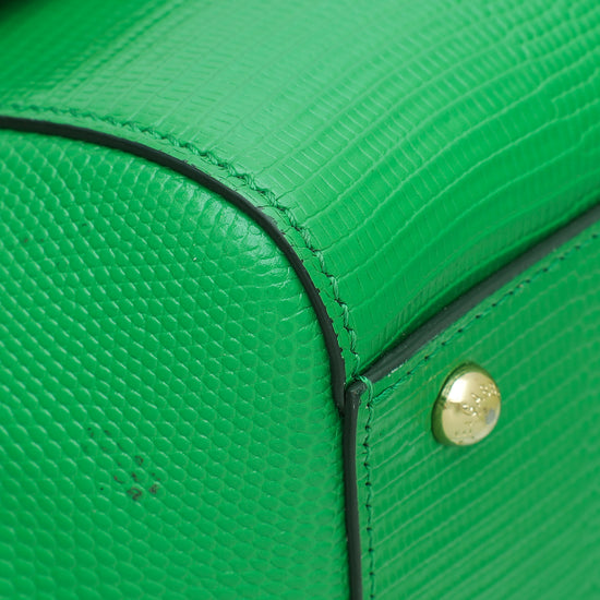 Dolce & Gabbana Green Iguana Print Sicily Medium Bag