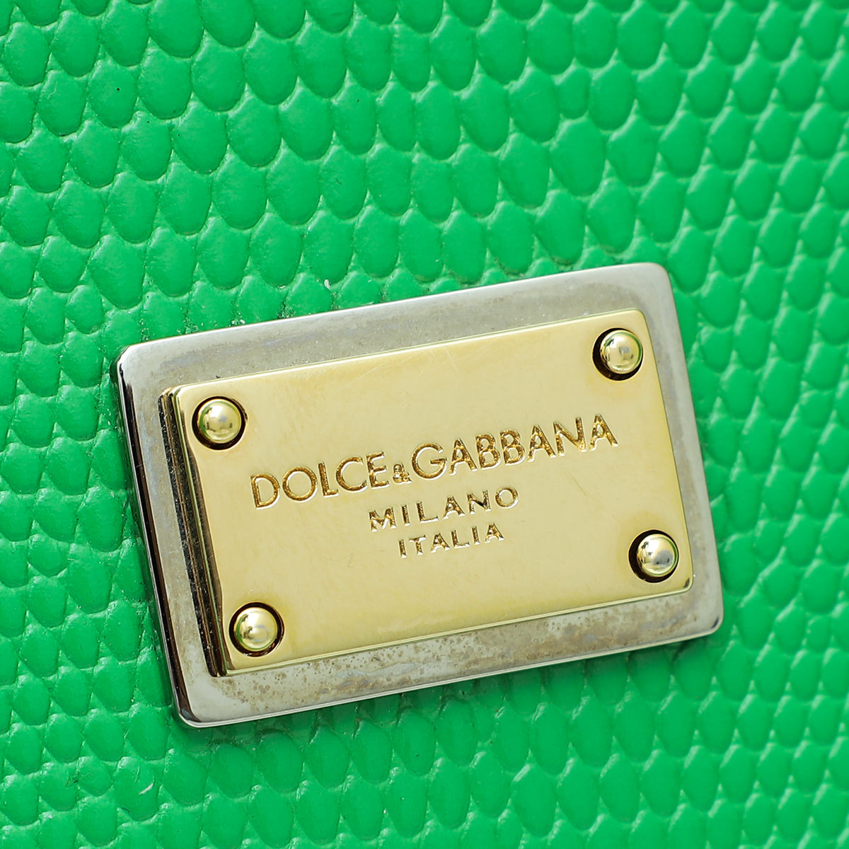 Dolce & Gabbana Green Iguana Print Sicily Medium Bag