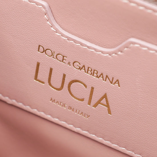 Dolce & Gabbana Burgundy Iguana Print Lucia Top Handle Bag