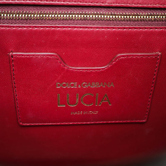 Dolce & Gabbana Light Gray Lizard Embossed Lucia Flap Bag