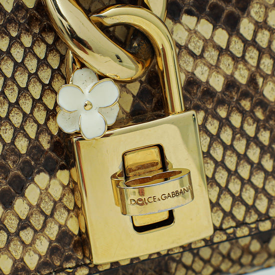 Dolce & Gabbana Bicolor Python Chain Padlock Flap Bag