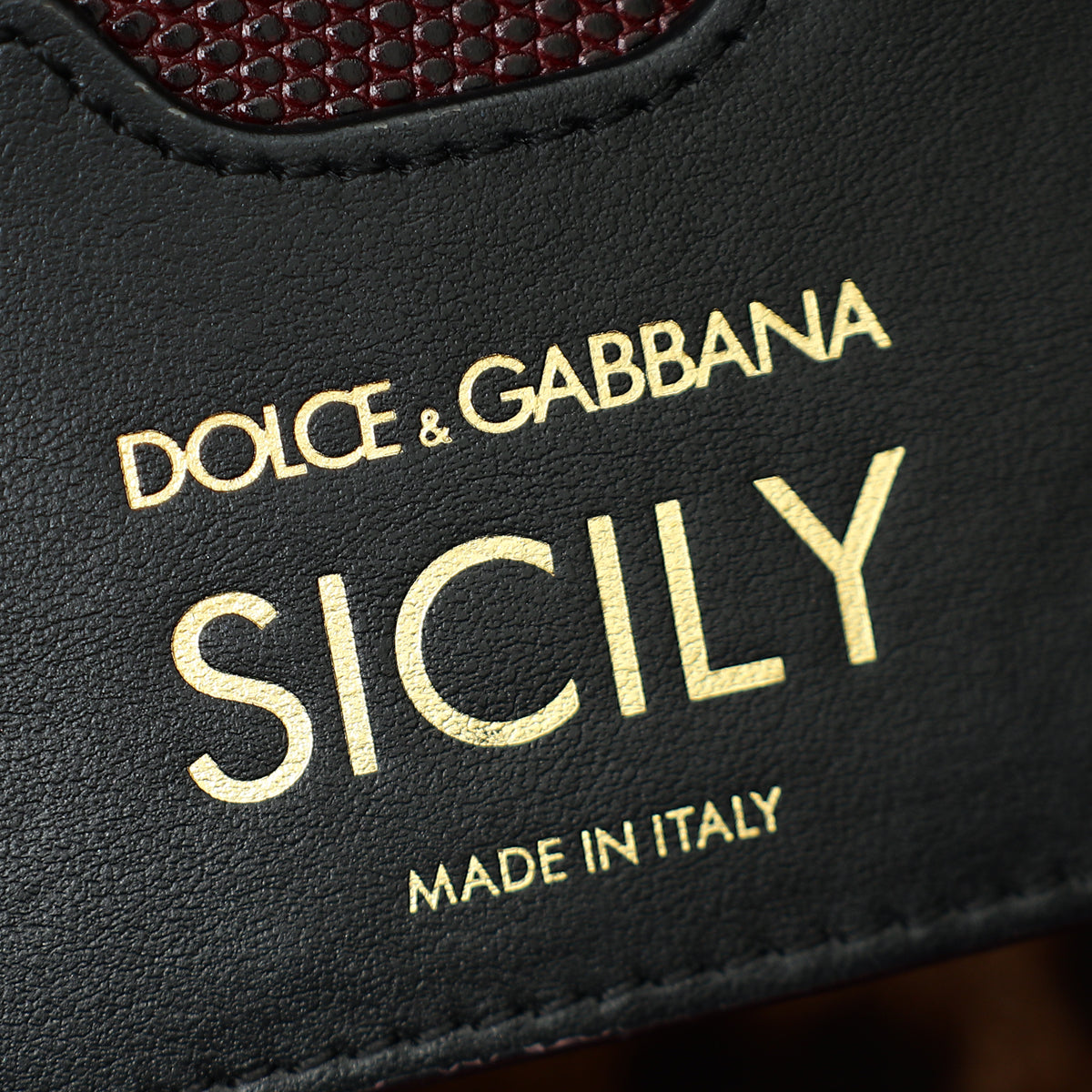 Dolce & Gabbana Bordeaux Lizard Embossed Sicily Medium Bag-Dolce & Gabbana-THE CLOSET