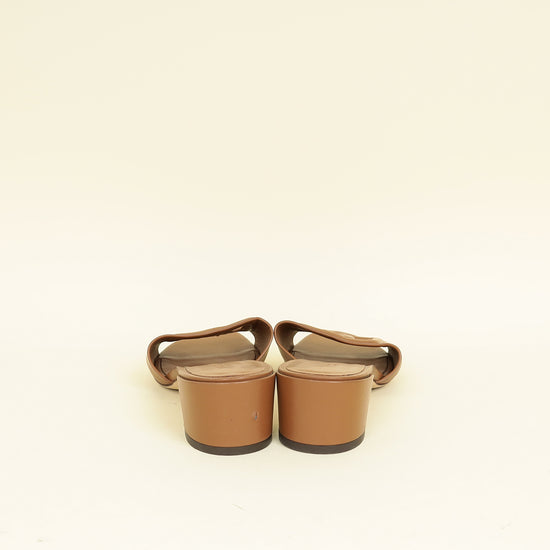 Dolce & Gabbana Brown DG Millennials Mules 40