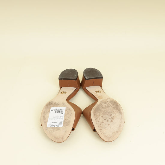 Dolce & Gabbana Brown DG Millennials Mules 40