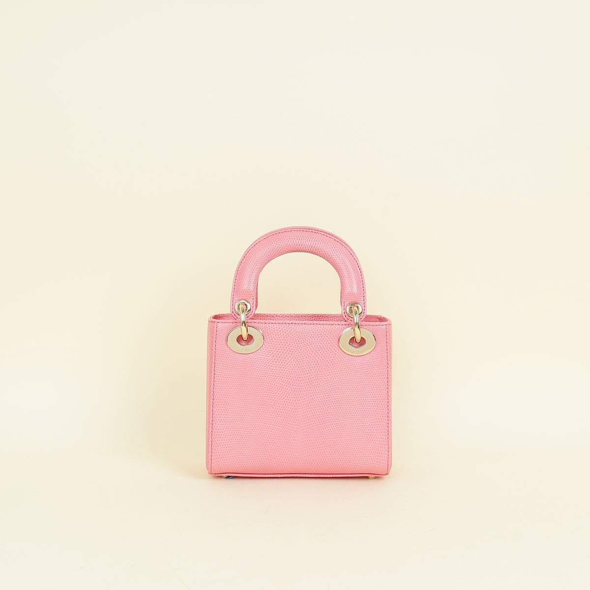 Christian Dior Pink Lady Dior Lizard Mini Chain Bag