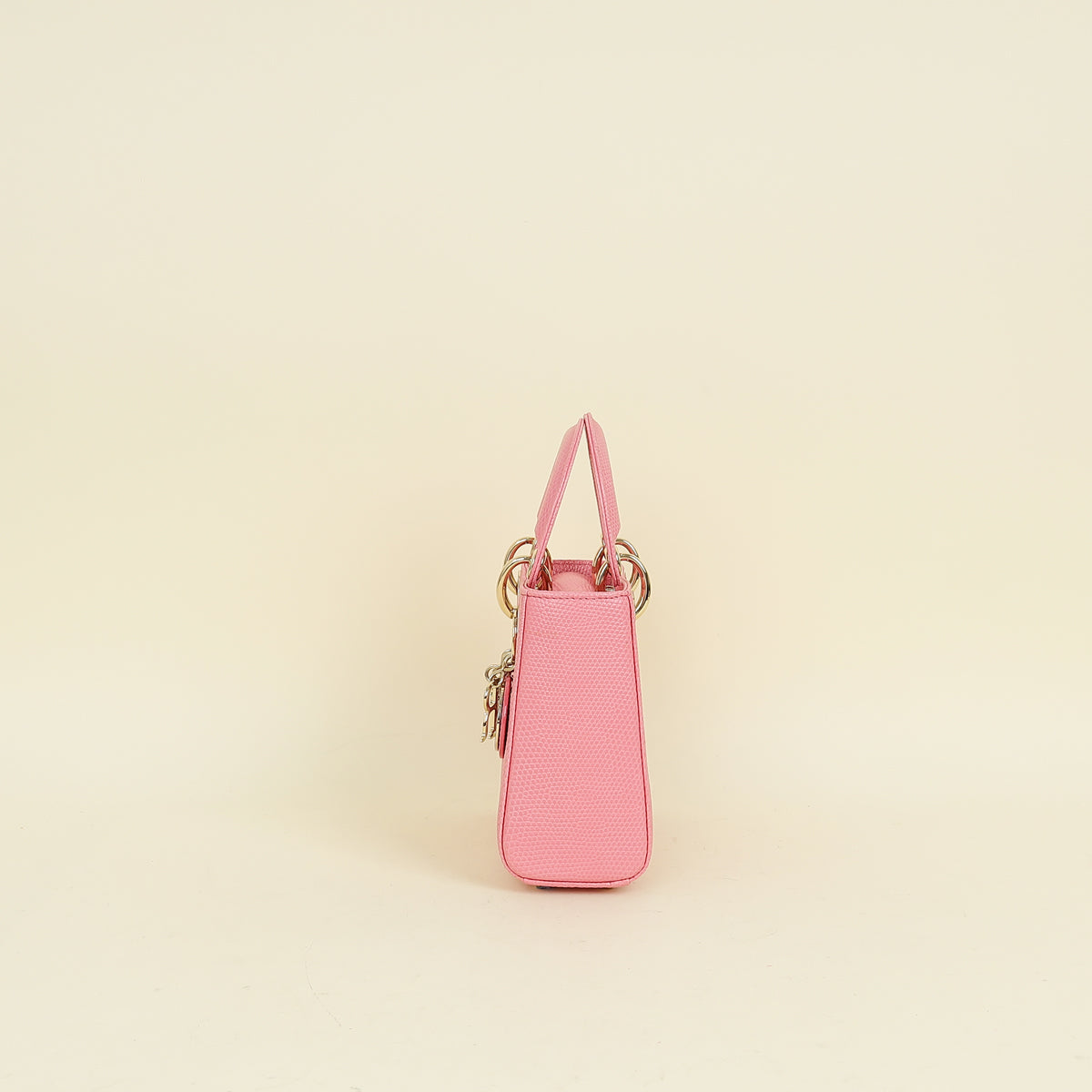 Christian Dior Pink Lady Dior Lizard Mini Chain Bag