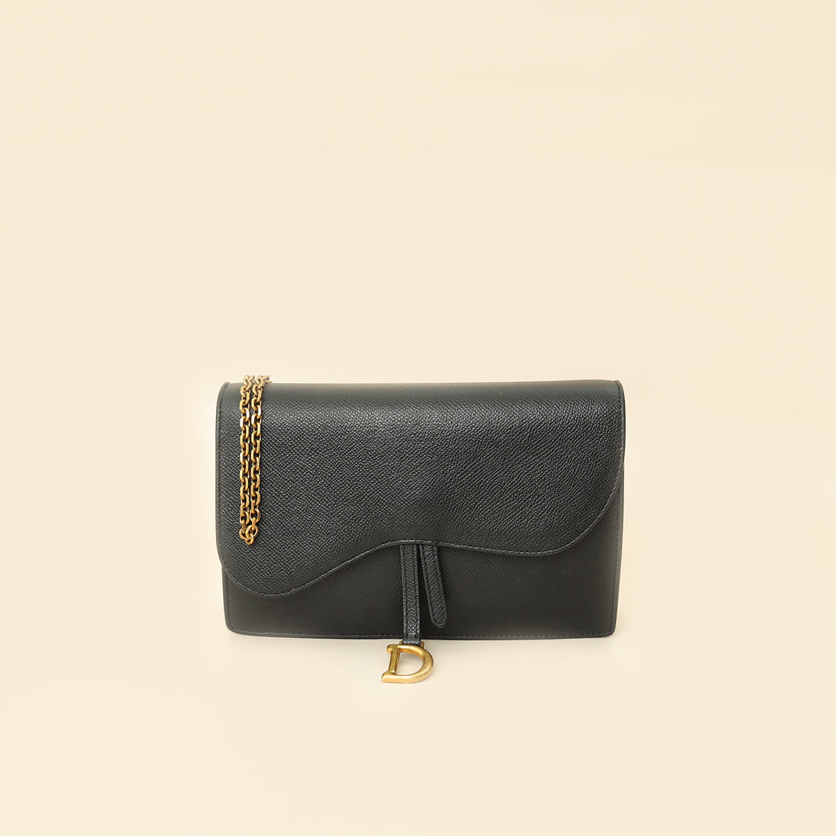 Christian Dior Black Saddle Wallet On Chain Bag-Christian Dior-THE CLOSET