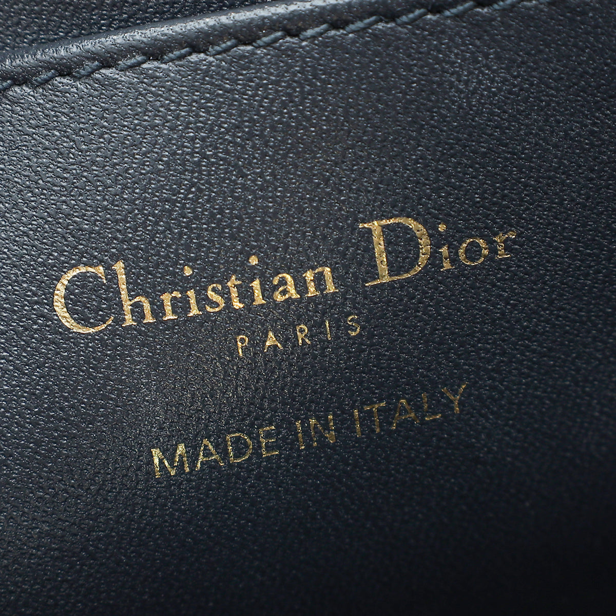 Christian Dior Metallic Silver Lily Bag W/ Twilly