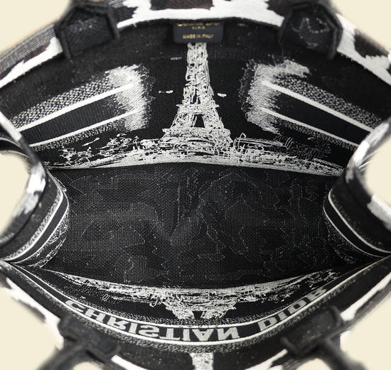 Christian Dior Paris w/ Eiffel Tower Embroidered Book Medium Tote Bag